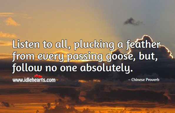 Listen to all, plucking a feather from every passing goose, but, follow no one absolutely. Chinese Proverbs Image