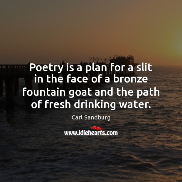 Poetry is a plan for a slit in the face of a Poetry Quotes Image