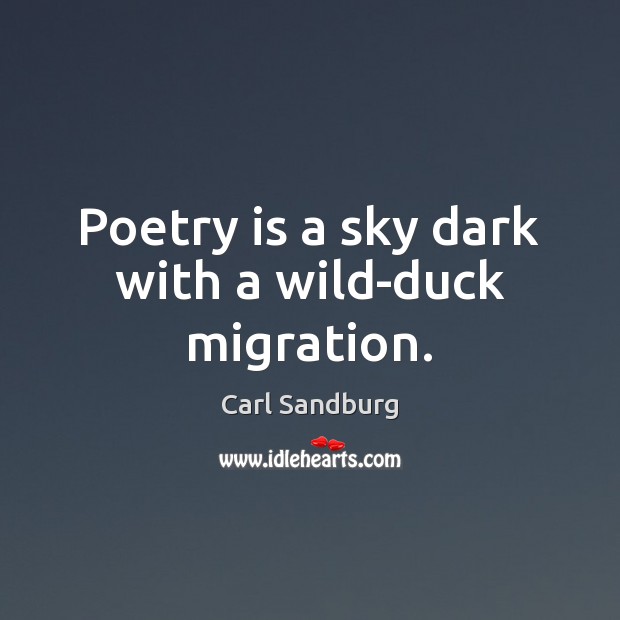 Poetry is a sky dark with a wild-duck migration. Carl Sandburg Picture Quote