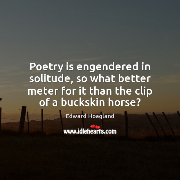 Poetry is engendered in solitude, so what better meter for it than Edward Hoagland Picture Quote
