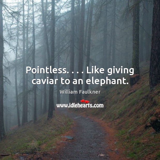 Pointless. . . . Like giving caviar to an elephant. William Faulkner Picture Quote