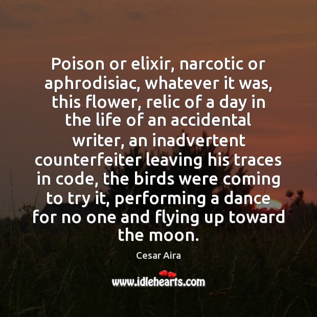 Poison or elixir, narcotic or aphrodisiac, whatever it was, this flower, relic Flowers Quotes Image