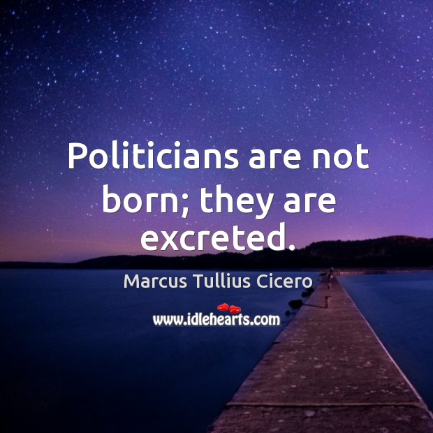 Politicians are not born; they are excreted. Marcus Tullius Cicero Picture Quote