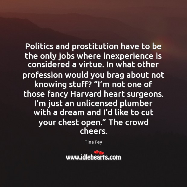 Politics and prostitution have to be the only jobs where inexperience is Tina Fey Picture Quote