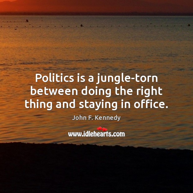 Politics is a jungle-torn between doing the right thing and staying in office. John F. Kennedy Picture Quote