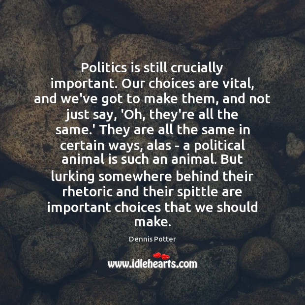 Politics is still crucially important. Our choices are vital, and we’ve got Image