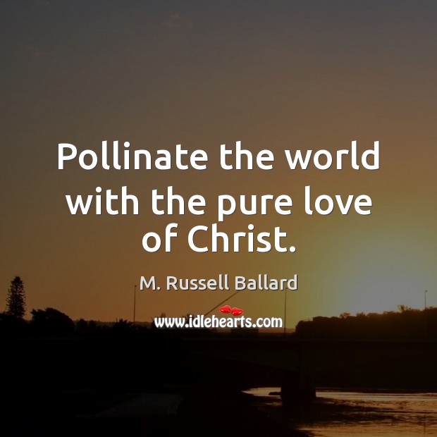 Pollinate the world with the pure love of Christ. Image