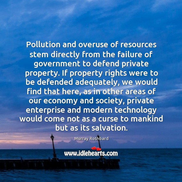 Pollution and overuse of resources stem directly from the failure of government Image