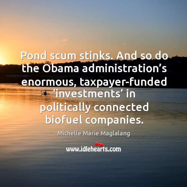 Pond scum stinks. And so do the obama administration’s enormous, taxpayer-funded ‘investments’ in Michelle Marie Maglalang Picture Quote