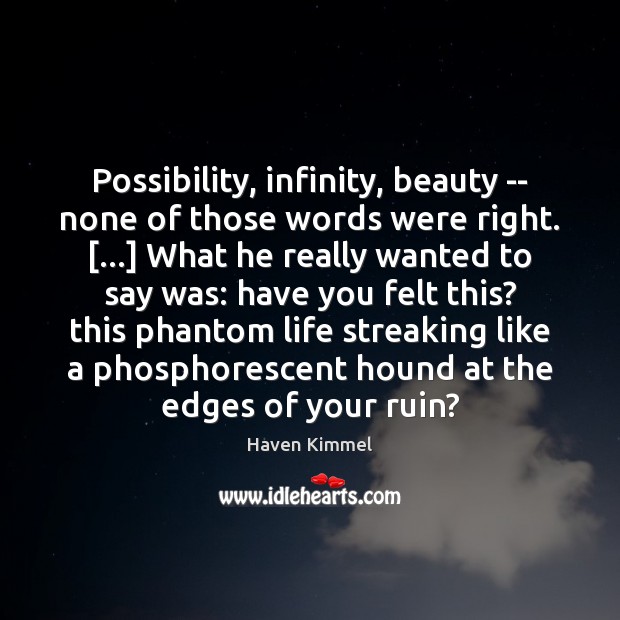 Possibility, infinity, beauty — none of those words were right. […] What he Haven Kimmel Picture Quote