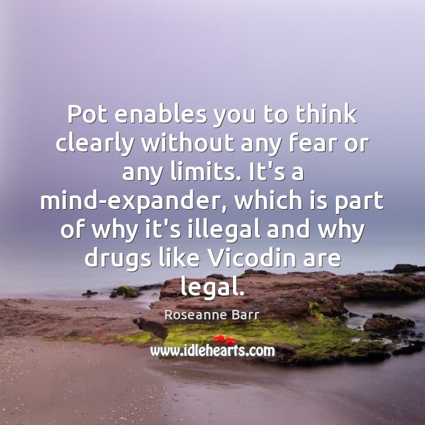 Pot enables you to think clearly without any fear or any limits. Roseanne Barr Picture Quote