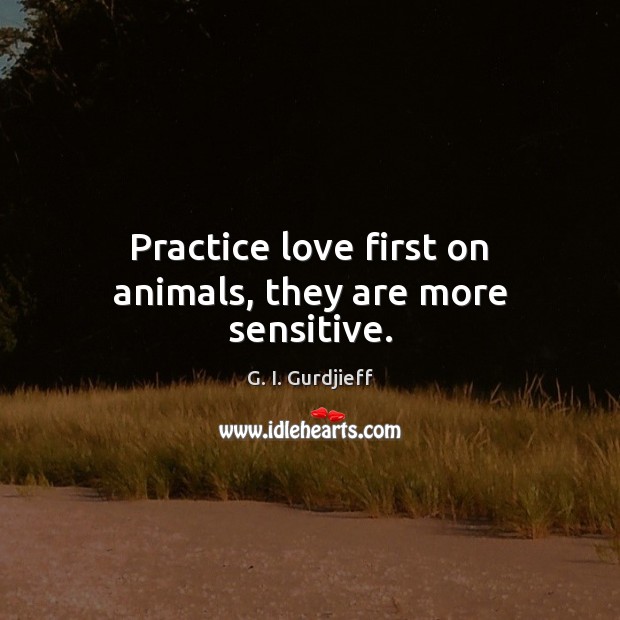 Practice love first on animals, they are more sensitive. G. I. Gurdjieff Picture Quote