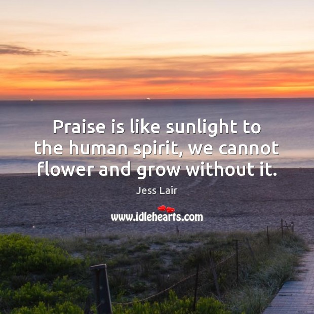 Praise is like sunlight to the human spirit, we cannot flower and grow without it. Image