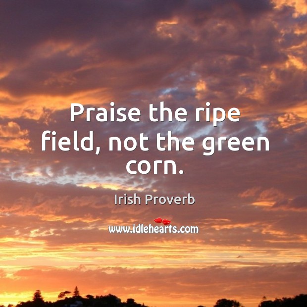 Praise the ripe field, not the green corn. Image