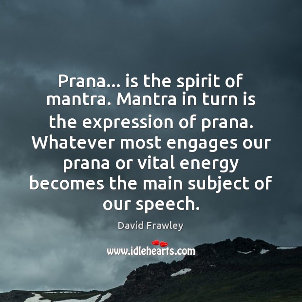 Prana… is the spirit of mantra. Mantra in turn is the expression David Frawley Picture Quote