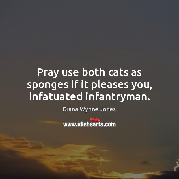 Pray use both cats as sponges if it pleases you, infatuated infantryman. Image