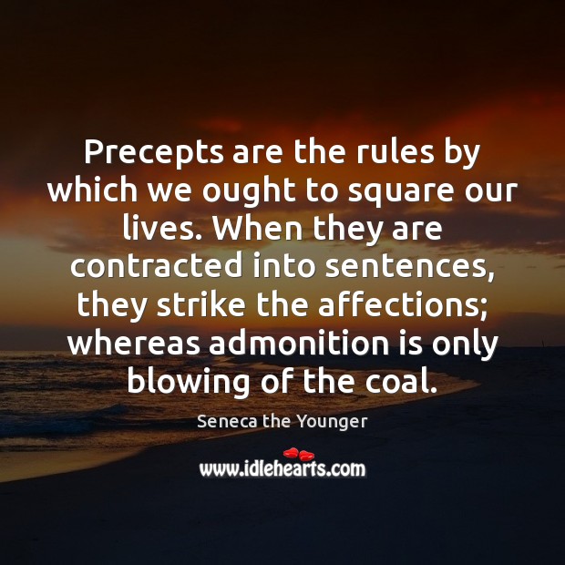 Precepts are the rules by which we ought to square our lives. Seneca the Younger Picture Quote