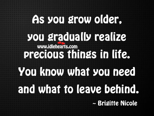 Realize precious things in life Brigitte Nicole Picture Quote