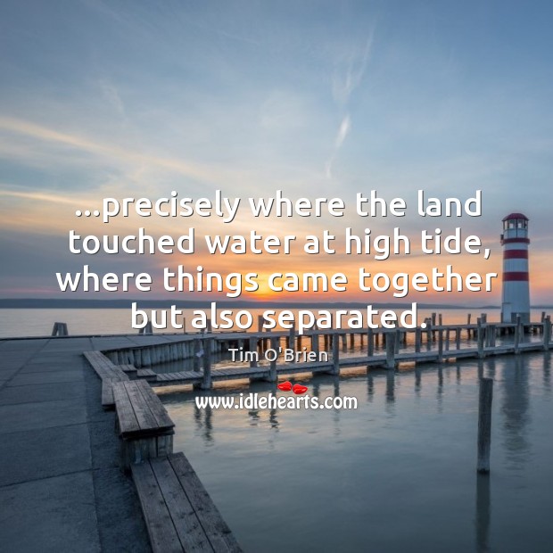 …precisely where the land touched water at high tide, where things came Image