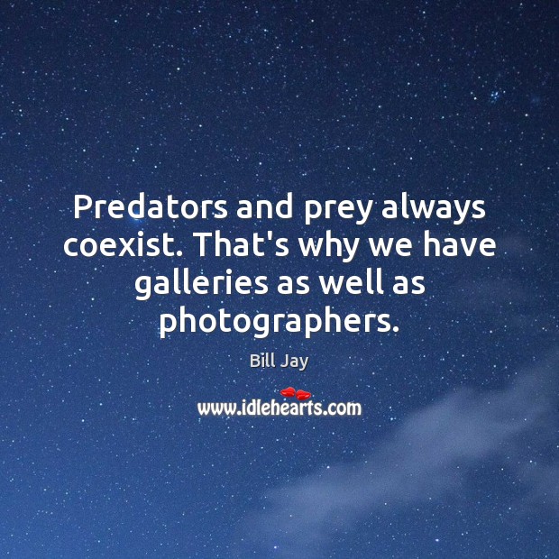 Predators and prey always coexist. That’s why we have galleries as well as photographers. Bill Jay Picture Quote