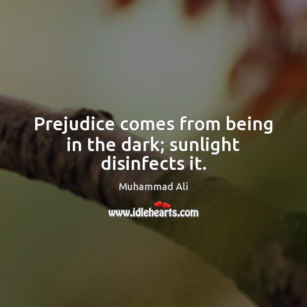 Prejudice comes from being in the dark; sunlight disinfects it. Image