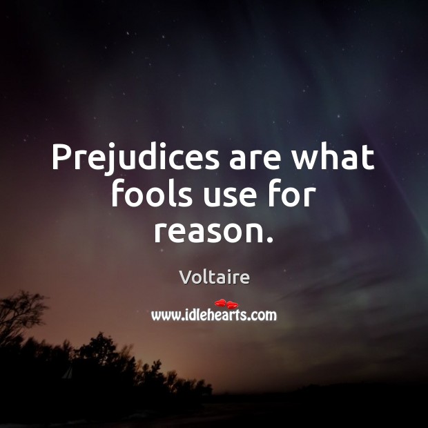 Prejudices are what fools use for reason. Image