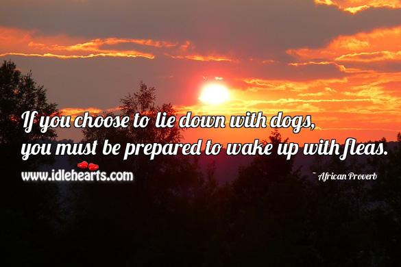If you choose to lie down with dogs, you must be prepared to wake up with fleas. African Proverbs Image