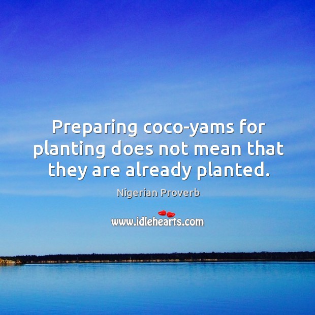 Preparing coco-yams for planting does not mean that they are already planted. Nigerian Proverbs Image