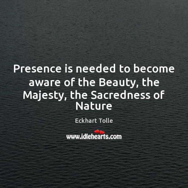 Presence is needed to become aware of the Beauty, the Majesty, the Sacredness of Nature 