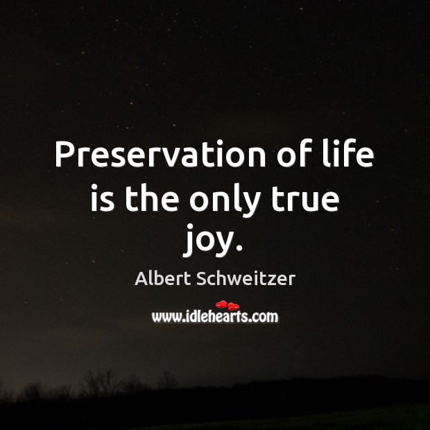 Preservation of life is the only true joy. Albert Schweitzer Picture Quote