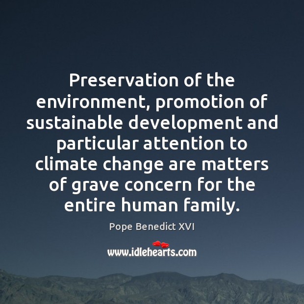 Preservation of the environment, promotion of sustainable development and particular attention to Pope Benedict XVI Picture Quote