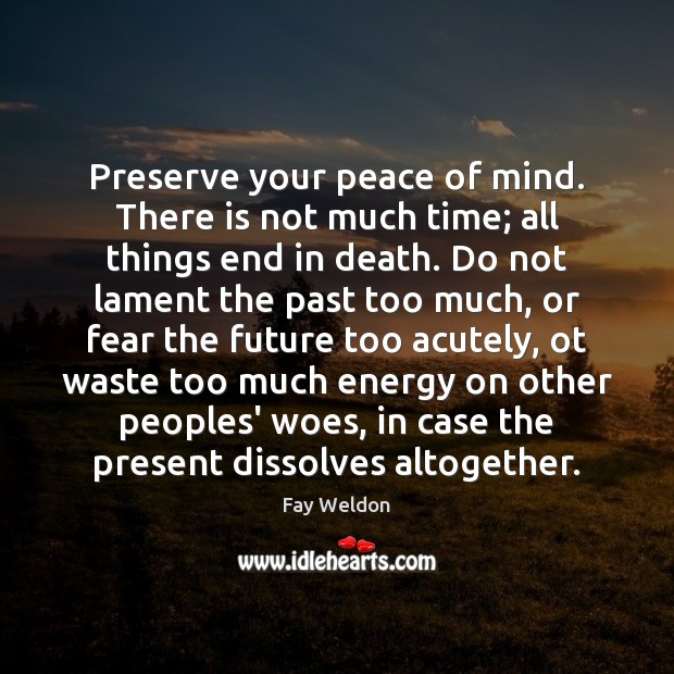 Preserve your peace of mind. There is not much time; all things Fay Weldon Picture Quote