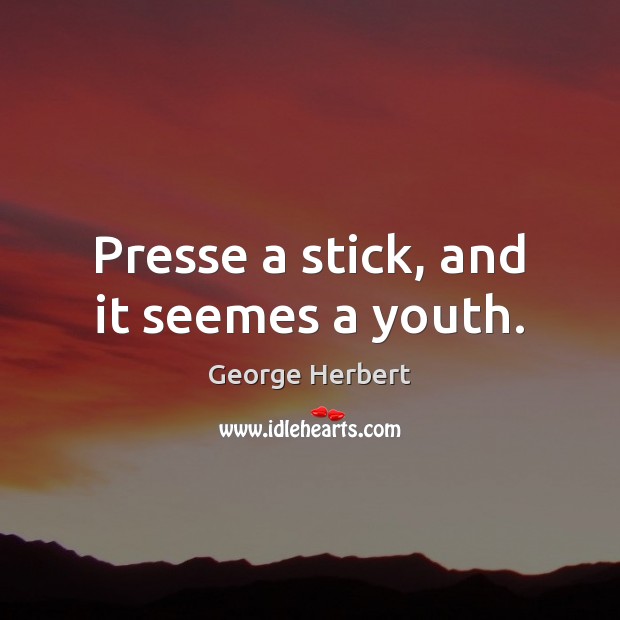 Presse a stick, and it seemes a youth. George Herbert Picture Quote