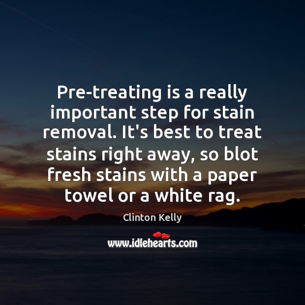 Pre-treating is a really important step for stain removal. It’s best to Clinton Kelly Picture Quote