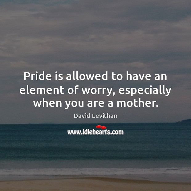 Pride is allowed to have an element of worry, especially when you are a mother. David Levithan Picture Quote