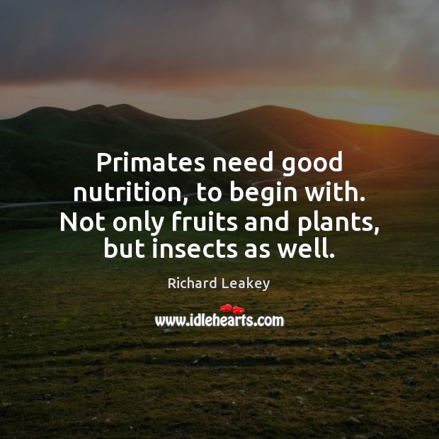 Primates need good nutrition, to begin with. Not only fruits and plants, Richard Leakey Picture Quote