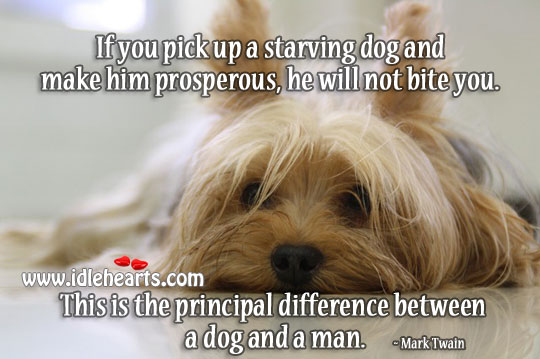 Difference between a dog and a man. Image