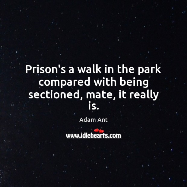 Prison’s a walk in the park compared with being sectioned, mate, it really is. Adam Ant Picture Quote
