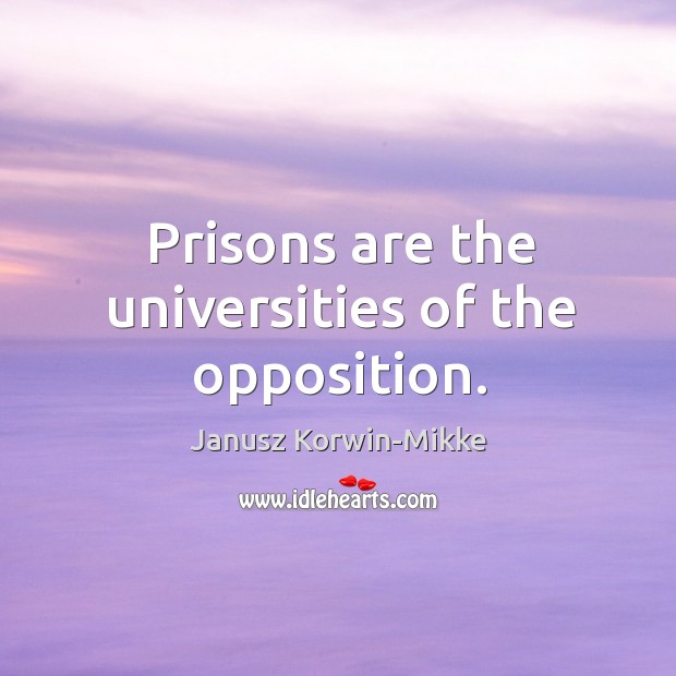Prisons are the universities of the opposition. Janusz Korwin-Mikke Picture Quote