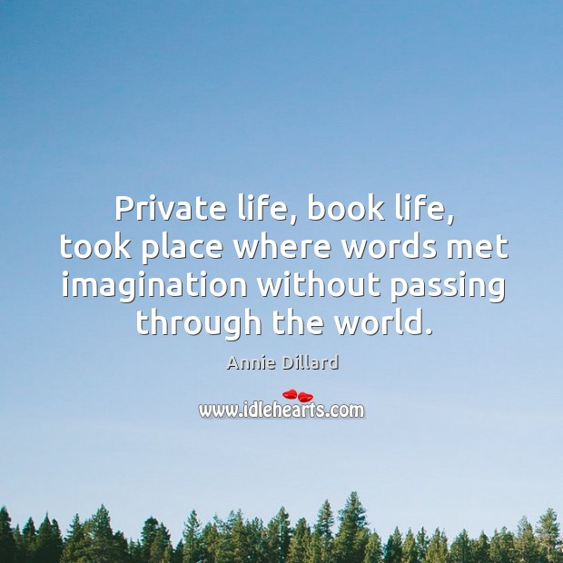 Private life, book life, took place where words met imagination without passing Annie Dillard Picture Quote