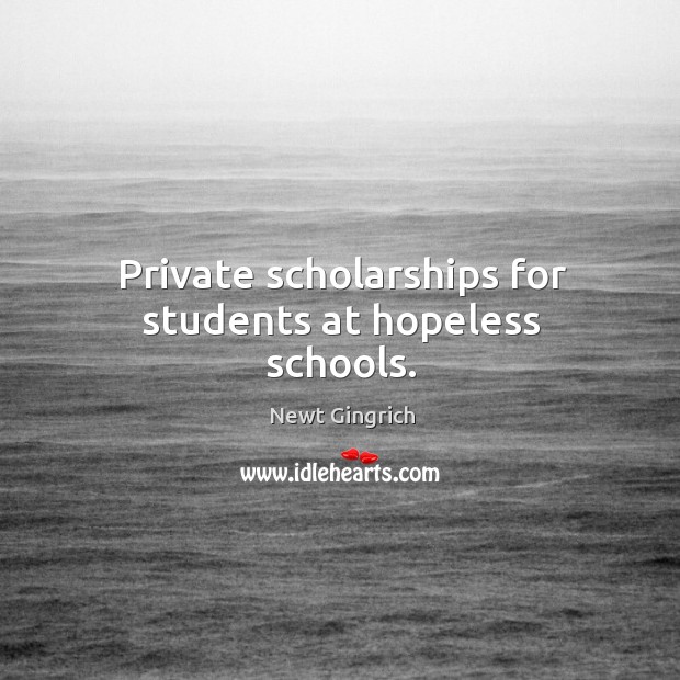 Private scholarships for students at hopeless schools. Image