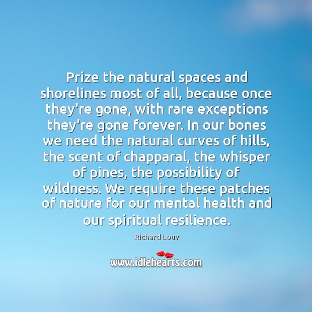 Prize the natural spaces and shorelines most of all, because once they’re Richard Louv Picture Quote