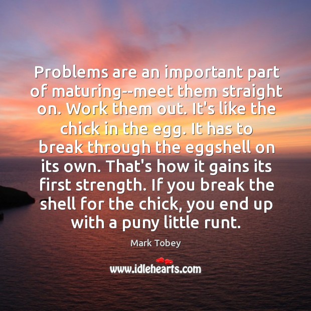 Problems are an important part of maturing–meet them straight on. Work them Image