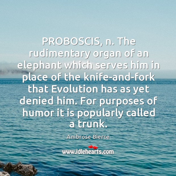 PROBOSCIS, n. The rudimentary organ of an elephant which serves him in Image