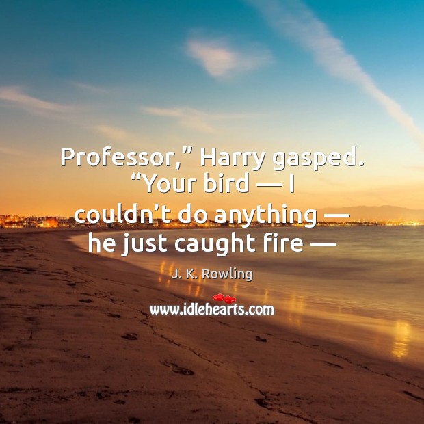 Professor,” Harry gasped. “Your bird — I couldn’t do anything — he just Image