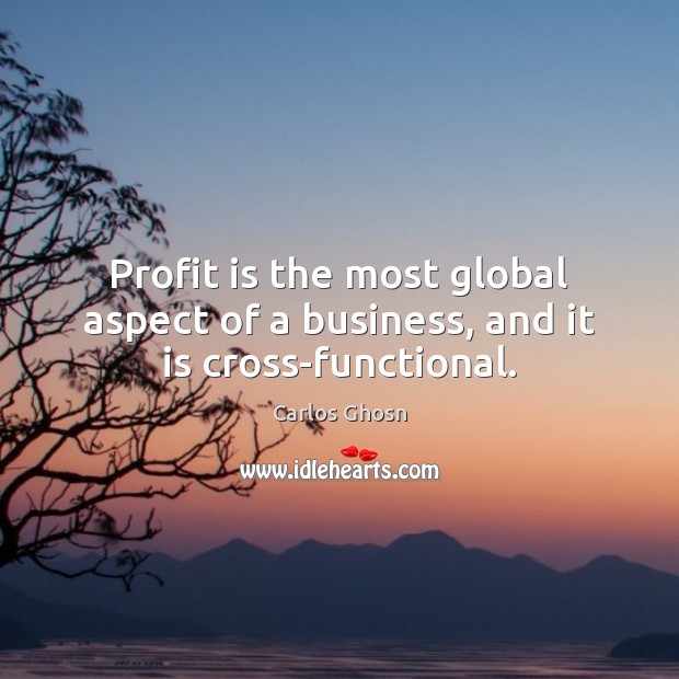 Profit is the most global aspect of a business, and it is cross-functional. Carlos Ghosn Picture Quote