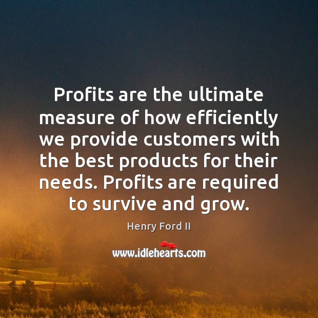 Profits are the ultimate measure of how efficiently we provide customers with Henry Ford II Picture Quote