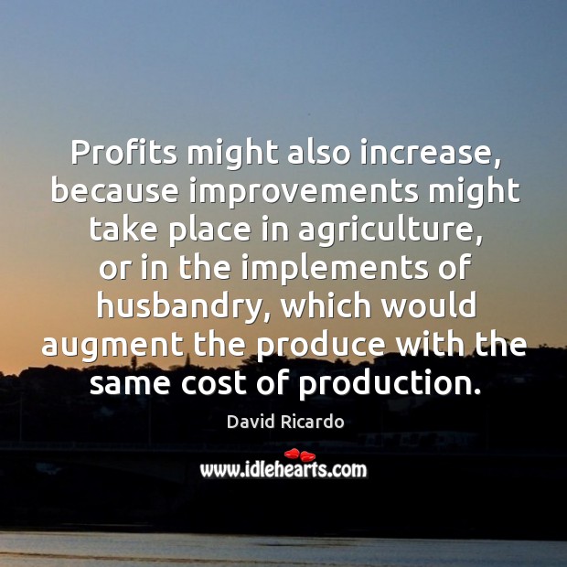 Profits might also increase, because improvements might take place in agriculture David Ricardo Picture Quote