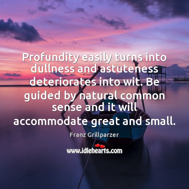 Profundity easily turns into dullness and astuteness deteriorates into wit. Be guided Franz Grillparzer Picture Quote