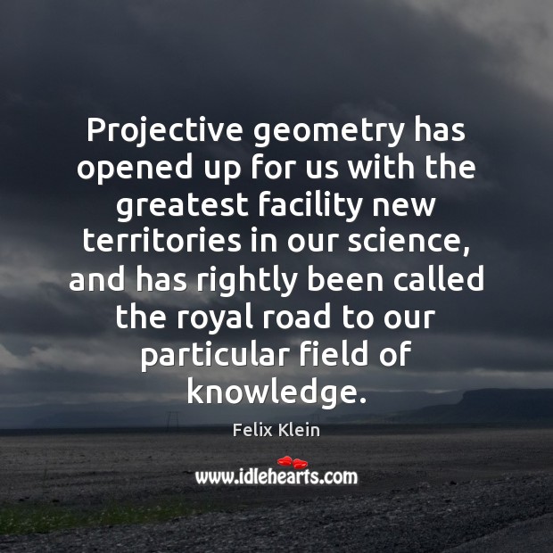 Projective geometry has opened up for us with the greatest facility new Felix Klein Picture Quote